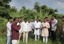 सततच्या पावसामुळे आणि अतिवृष्टी मुळे नुकसान झालेल्या भागाची सोमनाथ आवताडे यांनी केली पाहणी